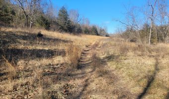 Hickory Flats Road, Ava, MO 65608