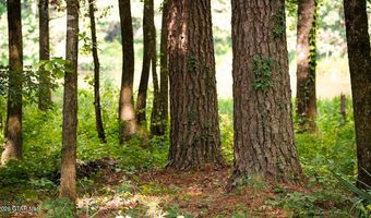 Cypress Pointe Drive lot 5, Brooksville, MS 39739