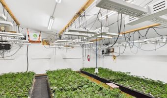 Fickle Hill Road, Arcata, CA 95521