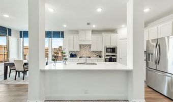 913 Firewood Way, Anna, TX 75409