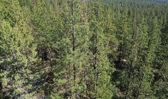 Sandpiper Ln, Beatty, OR 97621