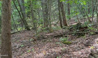 Deer Run lot 35, Becket, MA 01223