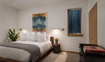1006 E Cooper Ave, Aspen, CO 81611
