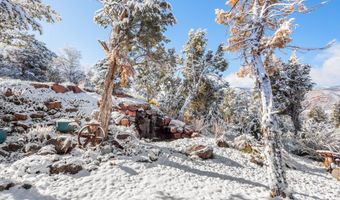 255 Little Pinon, Basalt, CO 81621