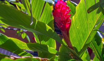 940 S Kihei Rd A101, Kihei, HI 96753