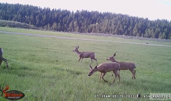 1650 Renegade Fly Dr, Ashton, ID 83429
