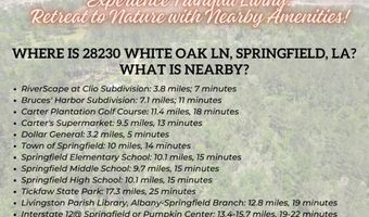 28320 WHITE OAK Ln, Springfield, LA 70462