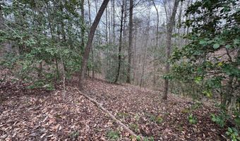 Honey Creek Loop Rd, Allardt, TN 38504