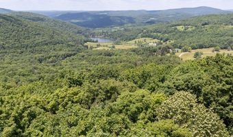 Timberland Drive, Andes, NY 13731