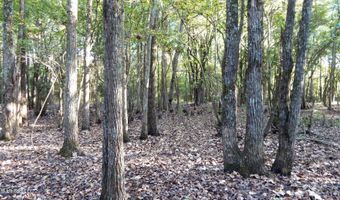 20 Ac. 9 Hwy, Bruce, MS 38915