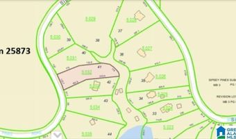 SIPSEY PINES ROAD lot 41, Arley, AL 35541