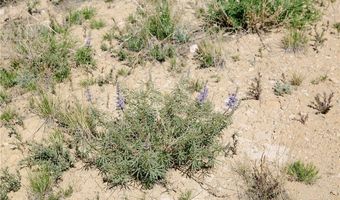 COS 947 Tract 11, Belfry, MT 59008