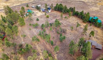 County Road N2144, Alpine, AZ 85920