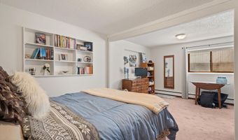534 And 536 Spruce St 1 And 2, Aspen, CO 81611