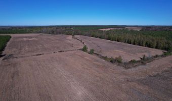 53 86 Acres-TBD Pate Rd, Bishopville, SC 29010