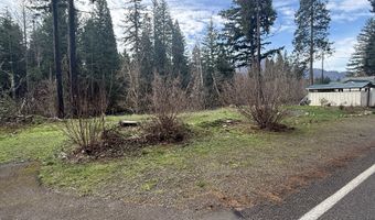 54480 McKenzie River Dr, Blue River, OR 97413