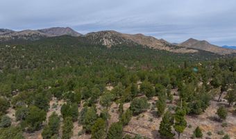 PN TBD BACHE ST & MESITA DR, Alto, NM 88312