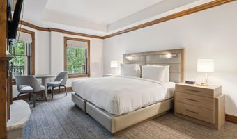 415 E Dean St Unit 19 Week 28, Aspen, CO 81611