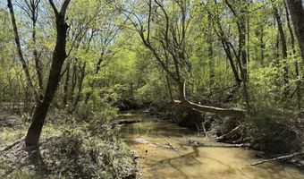 SW Auburn Drive, Bogue Chitto, MS 39629