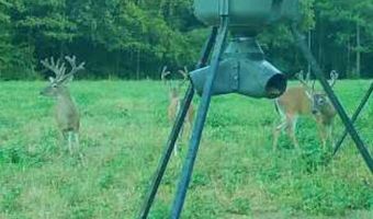 0 Hwy 14, Aliceville, AL 35442