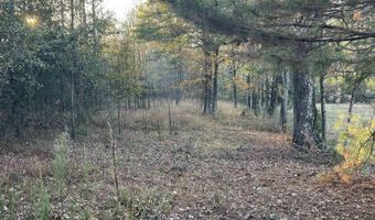 11 Acres RISER MILL ROAD Lot 11 Acres, Alpine, AL 35014