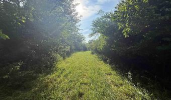 9900 N CR 800 E, Albany, IN 47320
