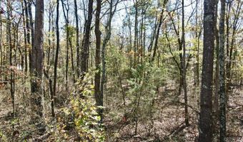 0 Atoka Dr, Bee Branch, AR 72013