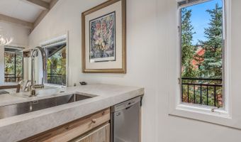731 S Mill St 3A, Aspen, CO 81611