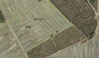 Sr 1918 Road, Aurora, NC 27806