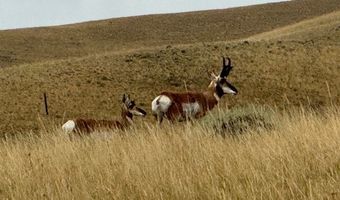 95 Mill Draw Overlook, Belfry, MT 59008