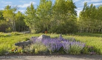 2780 N BLACK SHEEP FARM Rd, Alta, WY 83414