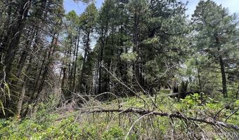 Tbd Hilltop Rd, Cascade, ID 83611