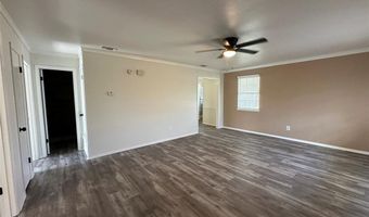 910 Chestnut St, Hico, TX 76457