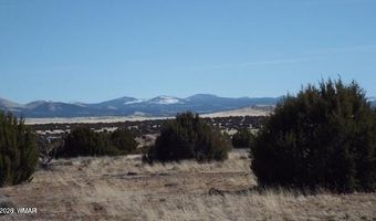 Parcel 107-52-046, Concho, AZ 85924