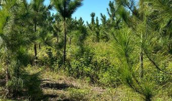 00 50th Ave, Bell, FL 32619