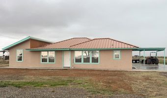 3800 SE 1000, Andrews, TX 79714