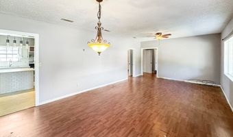 110 Griffin Ave, Attapulgus, GA 39815