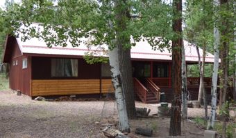 38 CR 2266, Alpine, AZ 85920