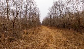 County Road 19-A, Alton, MO 65606