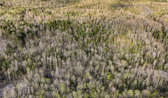 Lot 39 Sawyer Brook Road, Andover, ME 04216