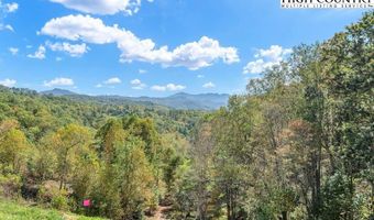 325 Penny Ln D1, Banner Elk, NC 28604