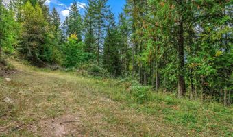 NKA Silver Creek Road, Clark Fork, ID 83811