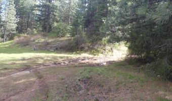 002 Hansen Ridge Rd, Anatone, WA 99401