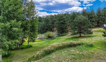 33 Grouse Ln, Bailey, CO 80421