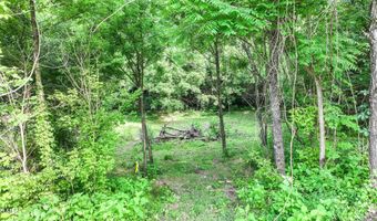Middle Creek Road, Afton, TN 37616