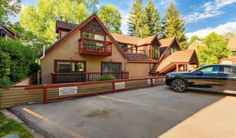 715 W Main St 201, 202 & 203, Aspen, CO 81611