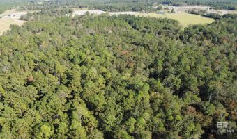0 Cowpen Creek Rd, Atmore, AL 36502
