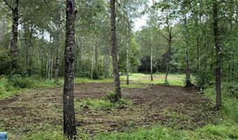 Samuelson Road-Sec22, Angora, MN 55703