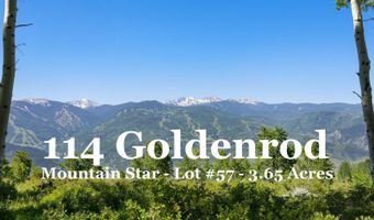 114 Goldenrod, Avon, CO 81620