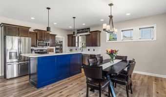 1103 NE Frisk Dr, Ankeny, IA 50021